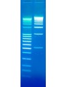 DNA Stain Clear G, SERVA
