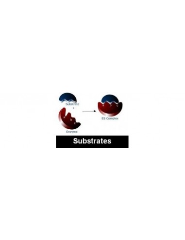 Proteasome Substrate Z-Leu-Leu-Glu-MCA, Serva