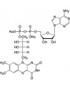 Flavin adenine dinucleotide Na-salt (FAD•Na2), pure, CAS 84366-81-4, SERVA