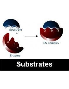TMB ready-to-use ELISA Substrate, SERVA