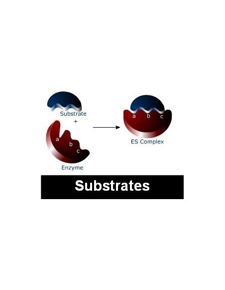 TMB ready-to-use ELISA Substrate, SERVA
