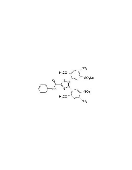 XTT, CAS 111072-31-2, SERVA