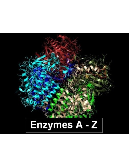 Hyaluronidase from ovine testes min. 1000 U/mg, CAS 37326-33-3, Serva