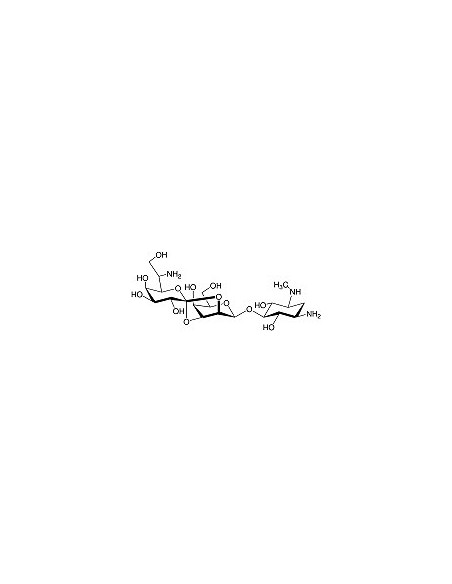 Hygromycin B, solution, CAS 31282-04-9, SERVA