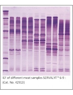SERVALYT™ PRECOTES™, pH 3-10 Horizontal IEF Gels, 5 pack, 125 x 125mm x 300um