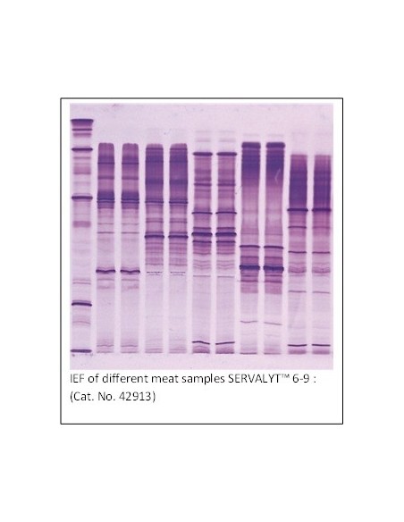 SERVALYT™ PRECOTES™, pH 3-10 Horizontal IEF Gels, 5 pack, 125 x 125mm x 300um
