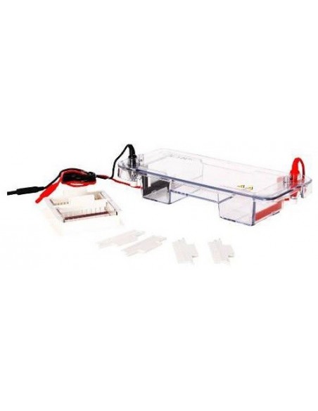Horizon-78100, Horizontal Electrophoresis System, Biophoretics