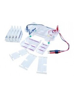 Horizon-1212, Horizontal Electrophoresis System