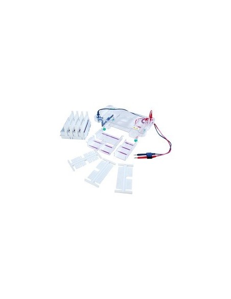Horizon-1212, Horizontal Electrophoresis System
