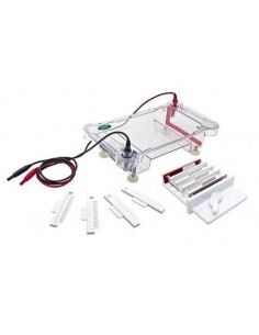 Horizon-1313, Horizontal Electrophoresis System, Biphoretics