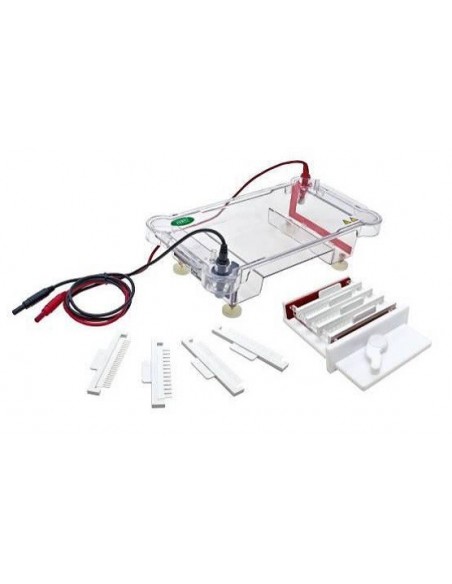 Horizon-1313, Horizontal Electrophoresis System, Biphoretics