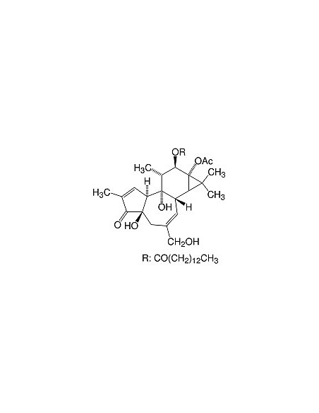 Phorbol (12-myristoyl-13-acetyl), analytical grade, CAS 16561-29-8, SERVA