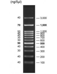FastLoad 100bp DNA Ladder, 500ul, SERVA Electectorphoesis