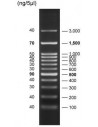 FastLoad 100bp DNA Ladder, 500ul, SERVA Electectorphoesis