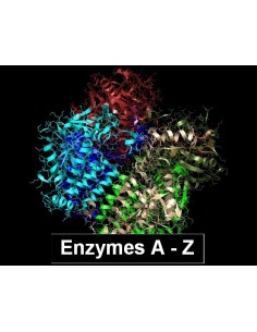 Glucose Oxidase (GOx) from Aspergilus Niger, min. 200U/mg