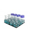 Platform with spring clamps for 12 x 100 - 150ml flasks