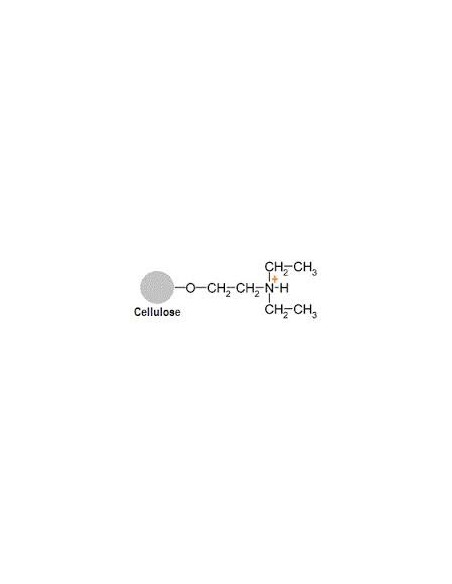 deae cellulose 