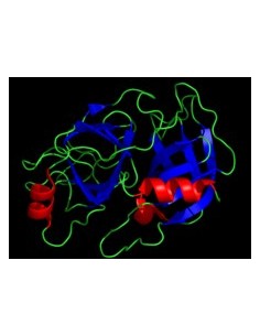 Trypsin Platinum MS Grade