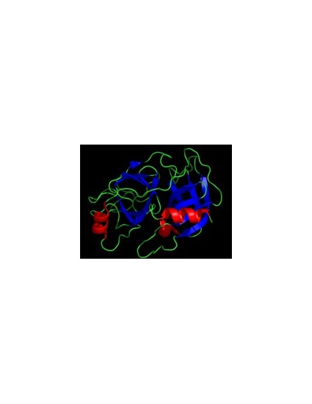 Trypsin Platinum MS Grade