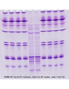 SERVAGel IEF gel pH 4-7 2