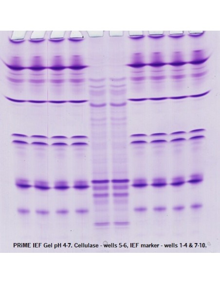 SERVAGel IEF gel pH 4-7