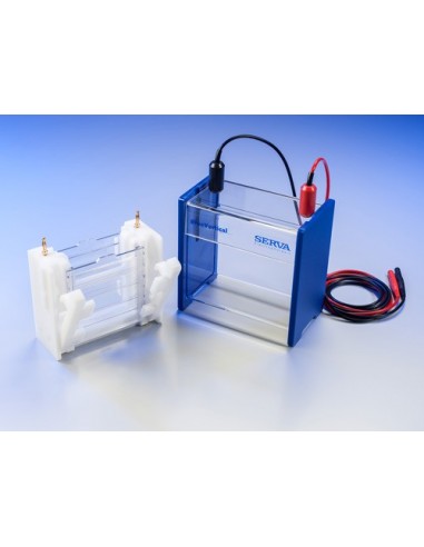 BlueVertical PRiME Dual Gel Electrophoresis System