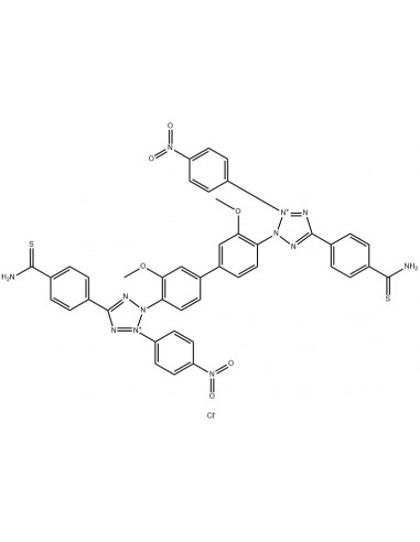 Nitro Blue Tetrazolium Chloride (NBT), CAS 298-83-9