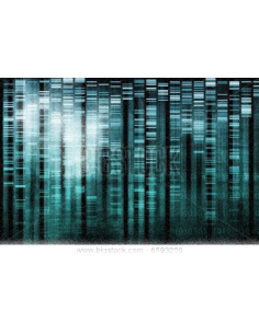 Skim Milk for Western Blots