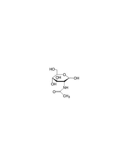 N-acetyl-D-glucosamine
