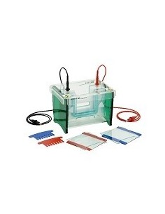 TV100 & TV100K Vertical mini-Gel Systems