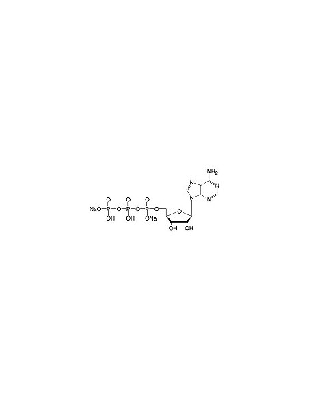 Adenosine-5' triphosphate·Na2-salt