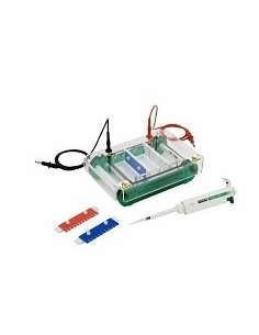 HU10, Mini-Plus Horizontal Electrophoresis System