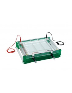 IEF-SYS, Isoelectric Focusing (IEF) System, Scie-plas