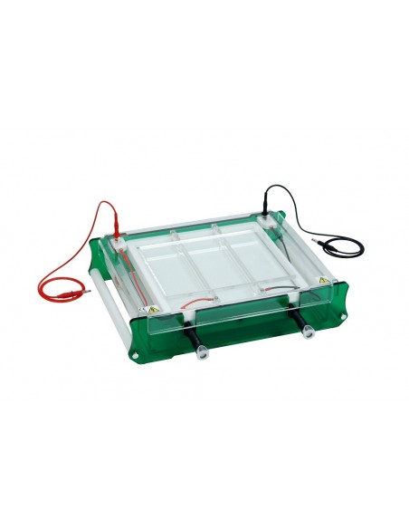 IEF-SYS, Isoelectric Focusing (IEF) System, Scie-plas