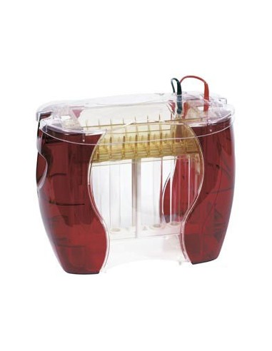 SE600 Chroma, Standard Gel 2D Electrophoresis Package, Hoefer