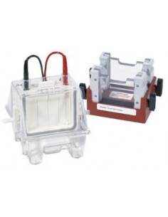 SE260, MiniGel 2D Electrophoresis Complete Package, Hoefer 2