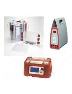 SE900IEFPS, Large 2D Gel Electrophoresis Package with IEF100, PS300, Hoefer