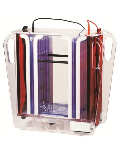 SE900IEFPS, Large 2D Gel Electrophoresis Package with IEF100, PS300, Hoefer