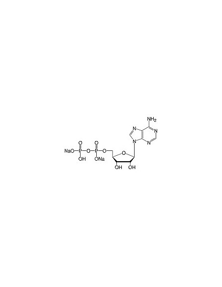 Adenosine-5'-phosphate•Na2-salt, SERVA