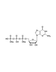 Guanosine-5'-triphosphate•Na2-salt, SERVA