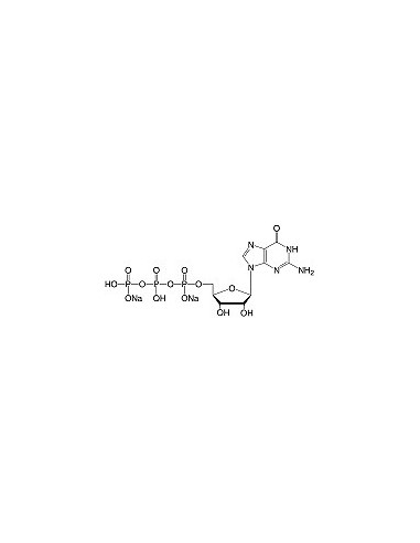 Guanosine-5'-triphosphate•Na2-salt, SERVA