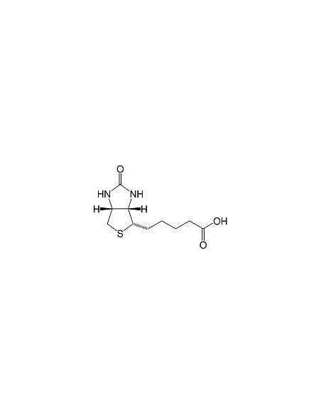 (+)-Biotin CAS 58-85-5