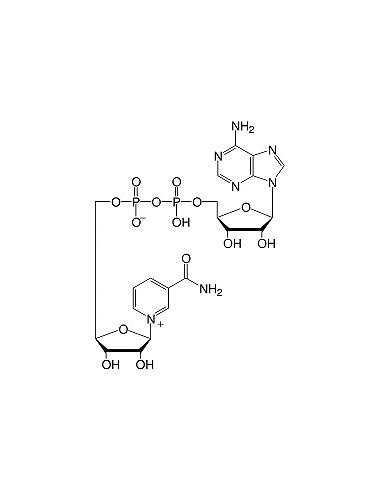β-Nicotinamide adenine dinucleotide, SERVA