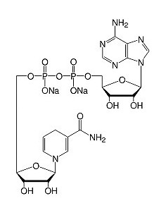 β-Nicotinamide Adenine Dinucleotide Reduced•Na2-Salt, SERVA