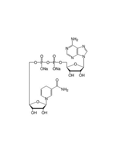 β-Nicotinamide Adenine Dinucleotide Reduced•Na2-Salt, SERVA