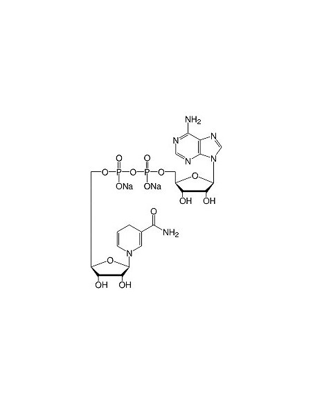 β-Nicotinamide Adenine Dinucleotide Reduced•Na2-Salt, SERVA