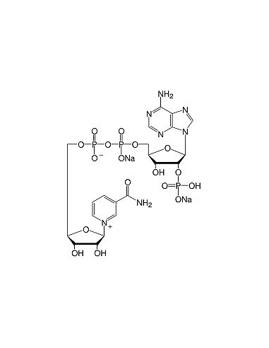 Β-Nicotinamide Adenine Dinucleotide Phosphate•Na2-Salt, SERVA