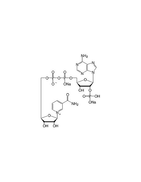 Β-Nicotinamide Adenine Dinucleotide Phosphate•Na2-Salt, SERVA