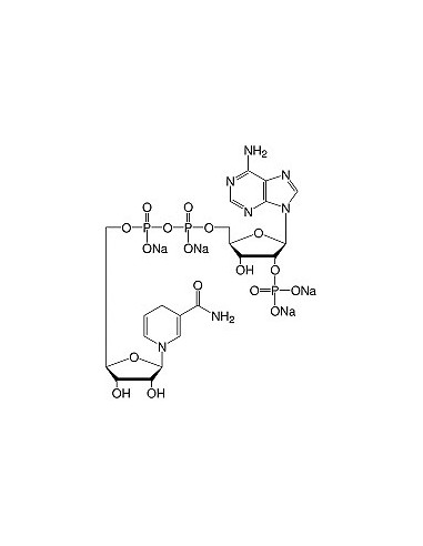 Β-Nicotinamide Adenine Dinucleotide Phosphate Reduced •Na4-Salt, SERVA