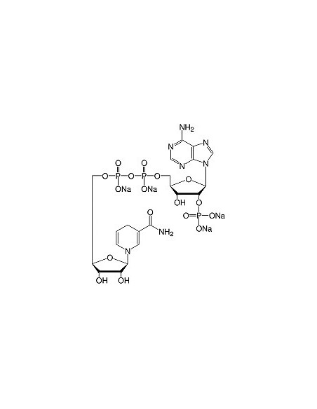 Β-Nicotinamide Adenine Dinucleotide Phosphate Reduced •Na4-Salt, SERVA